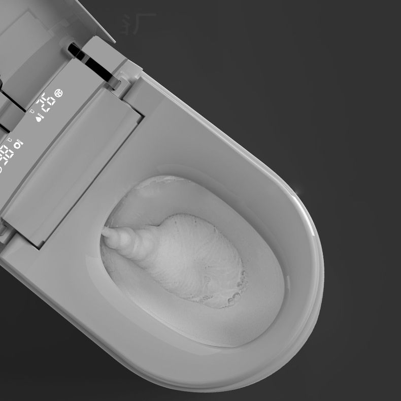 Modern 1-Piece Flush Toilet Floor Mounted Toilet Bowl for Washroom
