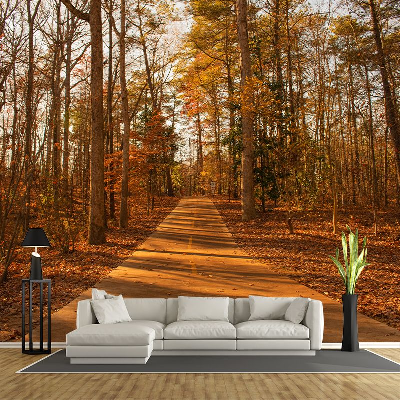 Contemporary Living Room Wall Decor Autumn Forest Mural Wallpaper, Moisture Resistant