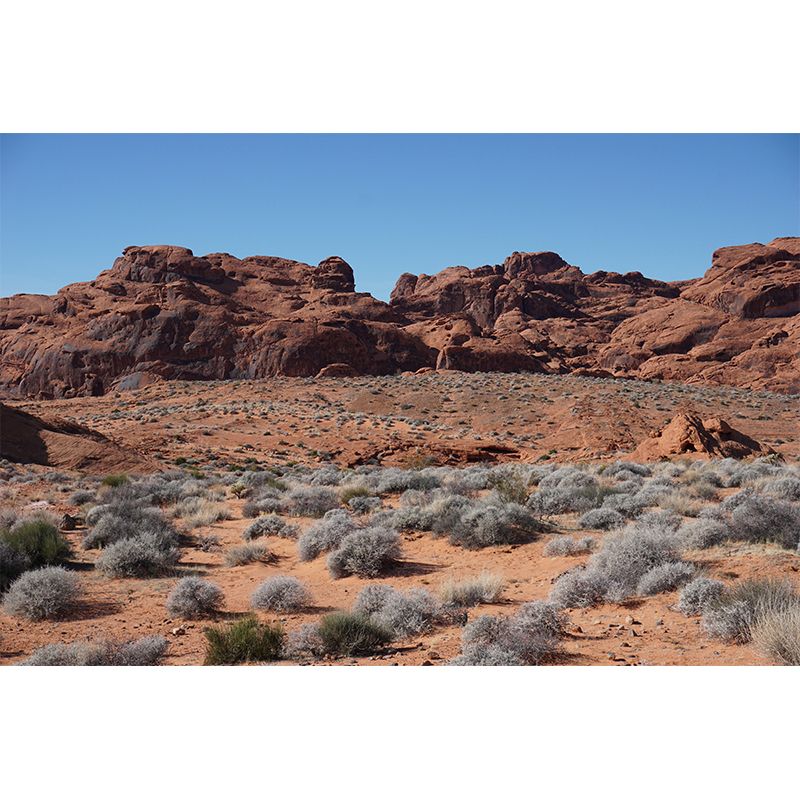 Horizontal Photography Desert Mural Wallpaper Style for Living Room Decor