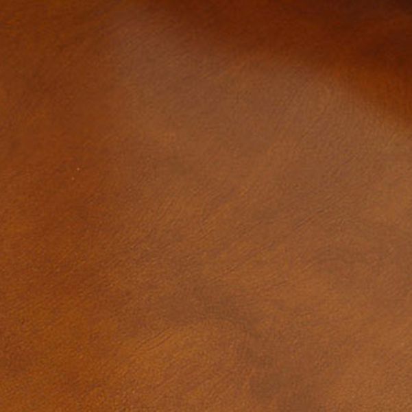 14" Wide Contemporary Shelf Vertical Closed Back Solid Wood Bookcase