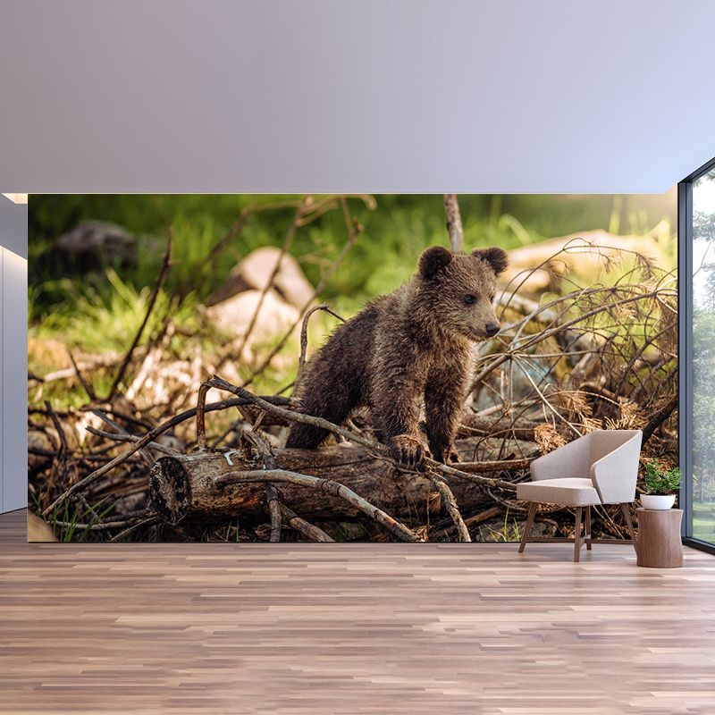Wild Animal Contemporary Style Mural Horizontal Photography Living Room Wall Mural