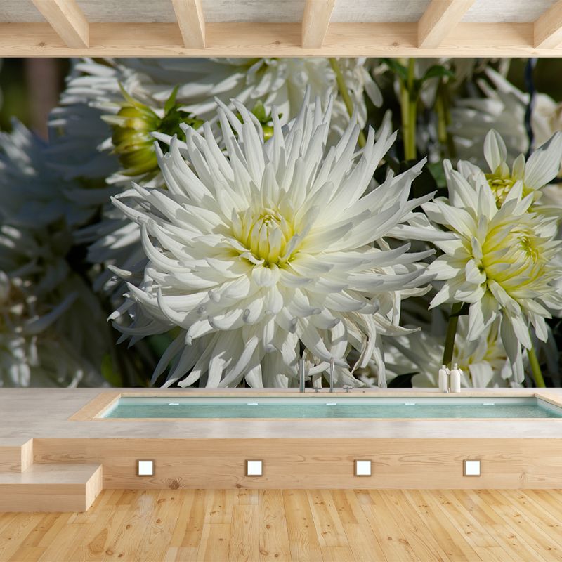 Bright Chrysanthemum Mural for Modern Living Room, Custom Size Available