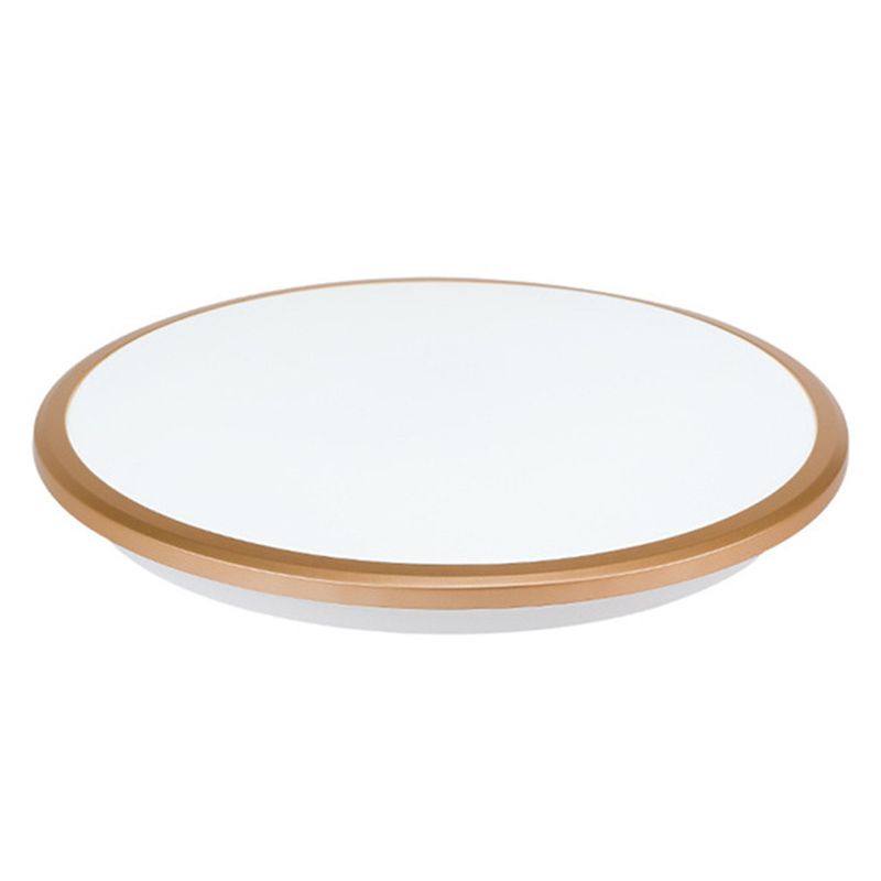 Simplicité Round Flush Mount Lamp for Living Room Modern Style LED Ceiling Light