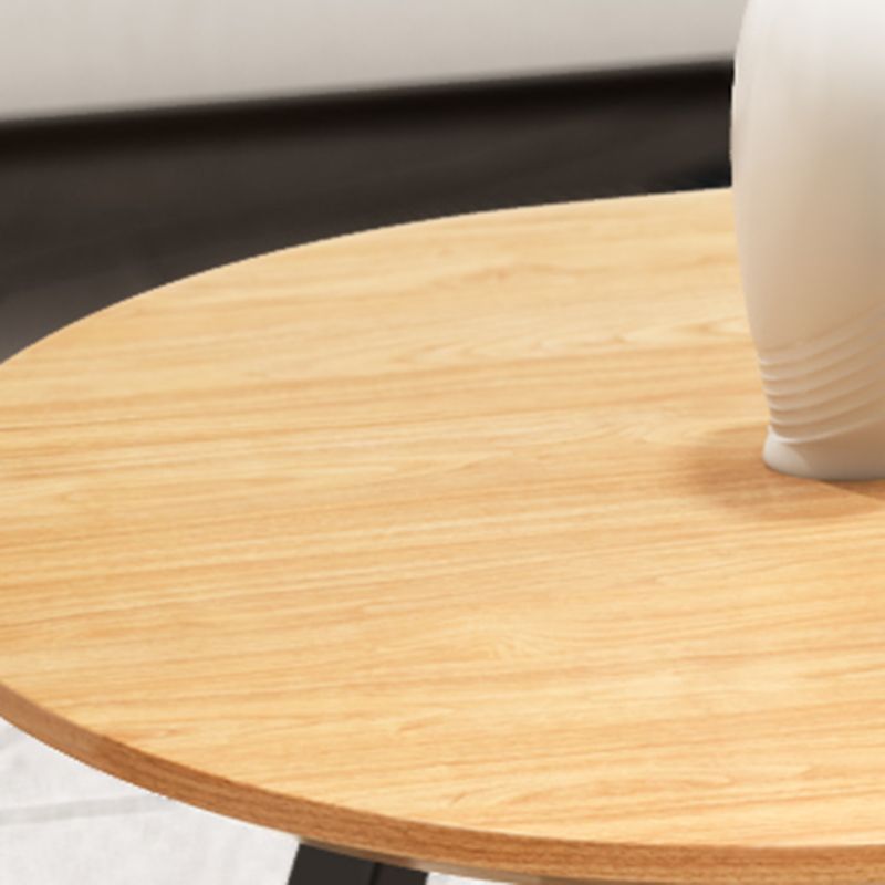 Solid Wood 2 Legs Coffee Table Modern Minimalist Coffee Table