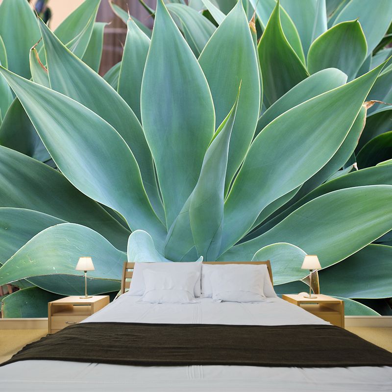 Green Agave Plant Wall Murals for Reading Room Home Decor, Made to Measure
