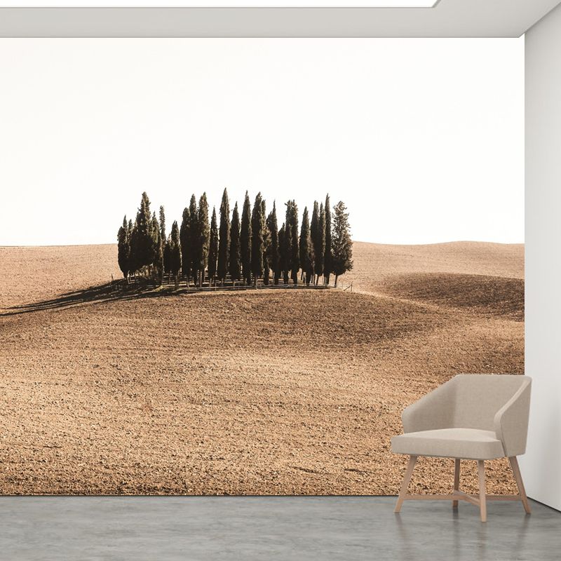 Soft Color Desert Mural Decal Nature Scenery Modern Mildew Resistant for Room