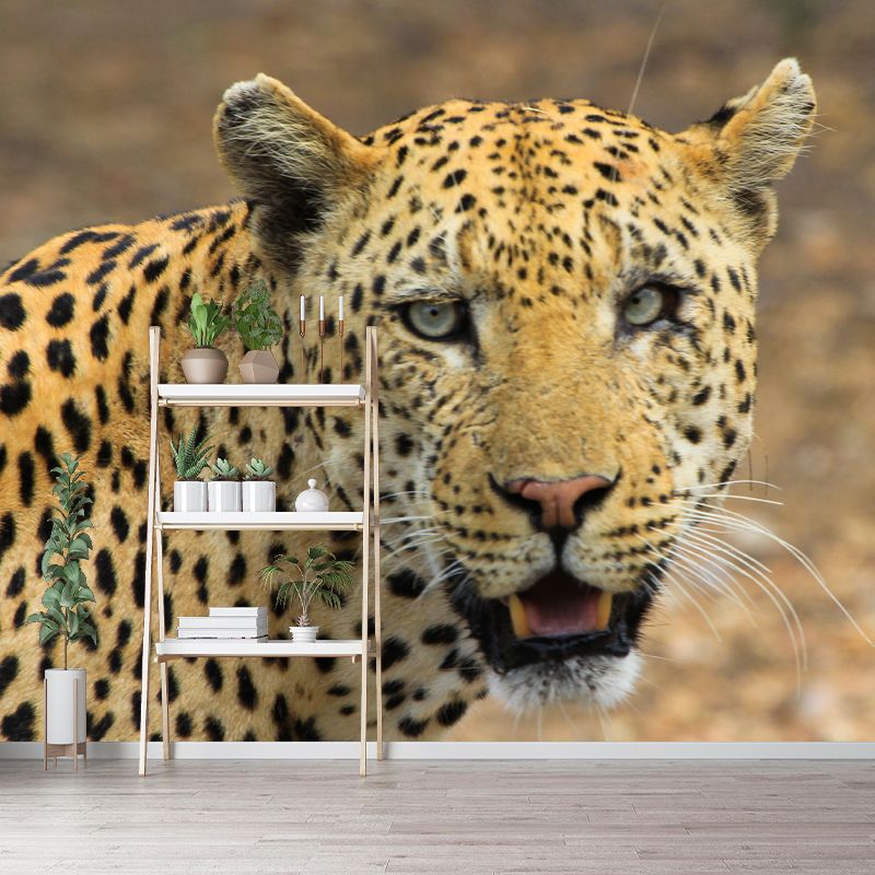 Leopard Mural Decal Modern Style Mildew Resistant Home Decor, Custom Size