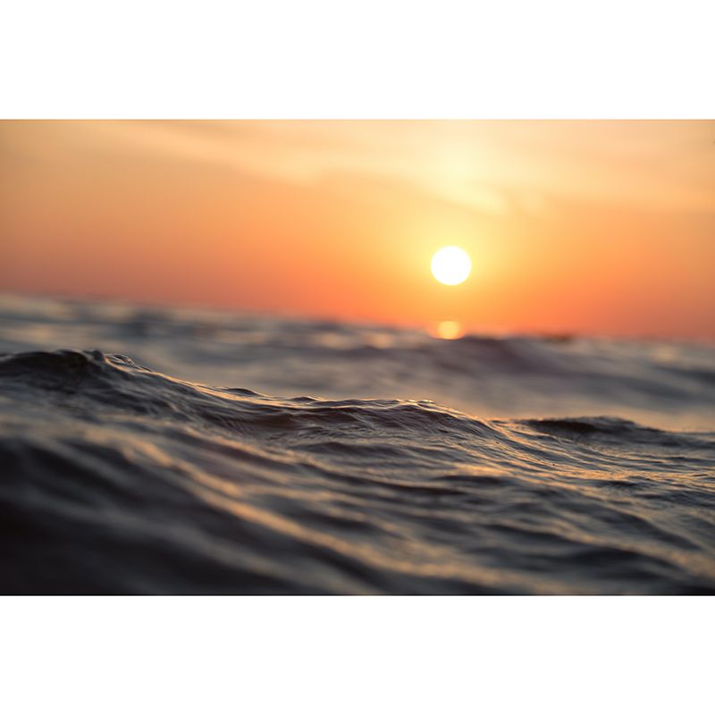 Beautiful Sea Wall Decor Mural Moisture Resistant Living Room Wall Covering