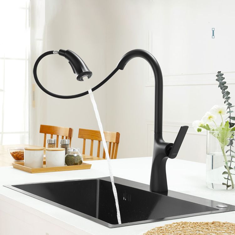 Contemporary Kitchen Faucet Gooseneck Swivel Spout with Pull Out Sprayer