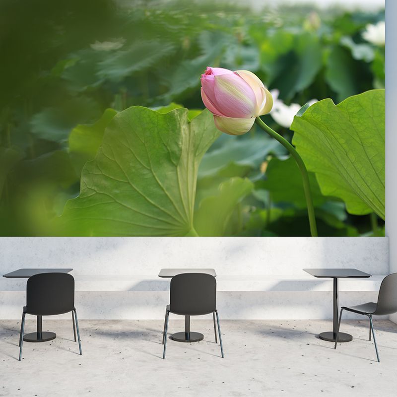 Lotus Leaf and Lotus Mural Wallpaper Stain-Resistant Wall Decor for Guest Room
