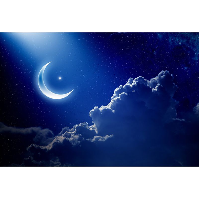 Photography Moon and Stars Mural Giant Wall Covering for Dining Room, Custom Printed