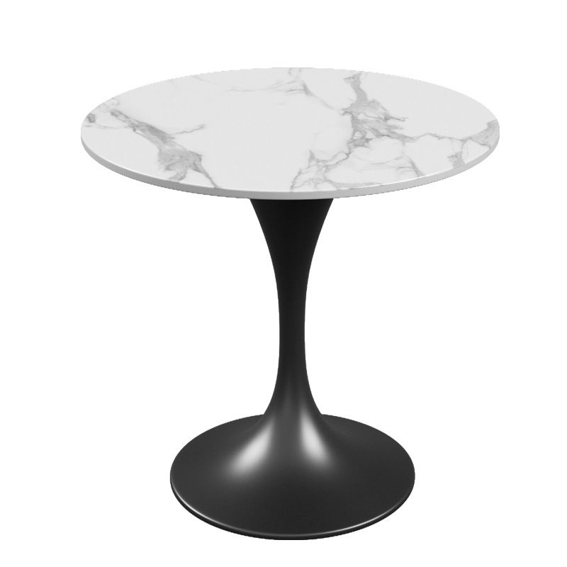 Modern Style Sintered Stone Dining Set Round 1/3/4/5 Pieces Dining Set for Home Use