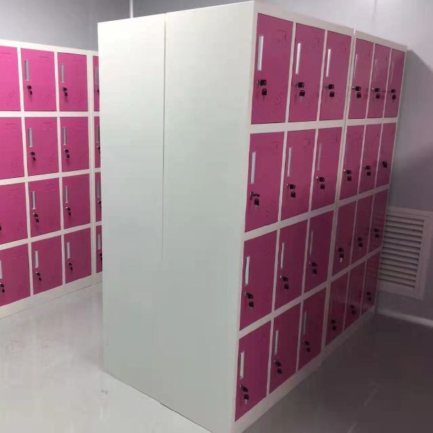 Metal Matte Finish Cabinet Contemporary Storage Cabinet with Hinged Door