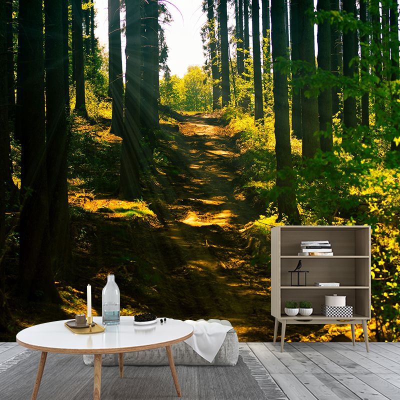 Forest Scenery Wall Mural Modern Home Decor for Sitting Room, Water Resistant