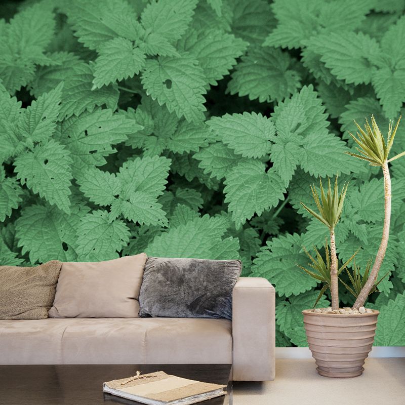 Décoration murale personnalisée en ortie, couleur claire, résistante à la moisissure pour le salon