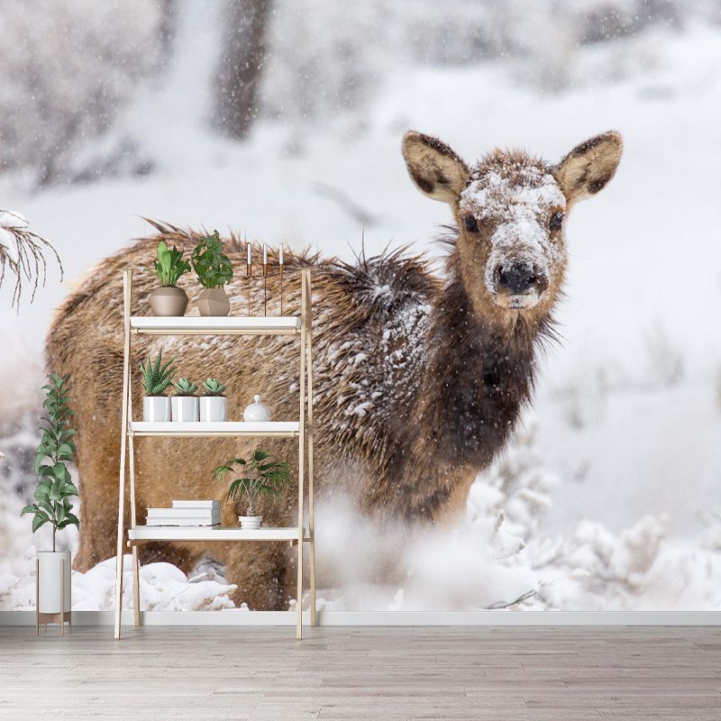 Elk Animal Wallpaper Mural Contemporary Style Wall Art for Living Room