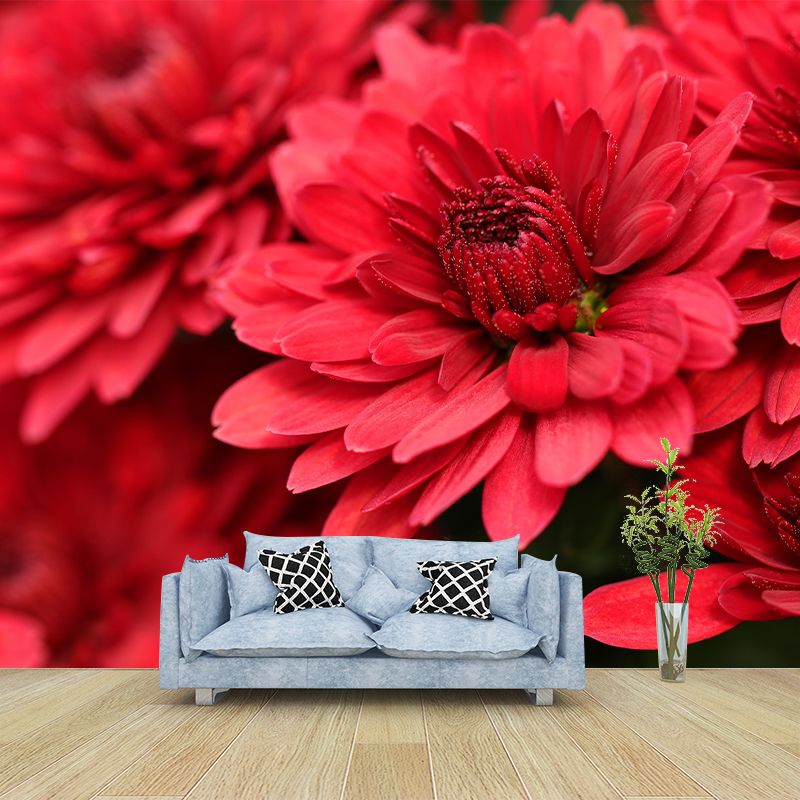 Gerbera Flower Mural Wallpaper Wall Covering Mildew Resistant for Sleeping Room