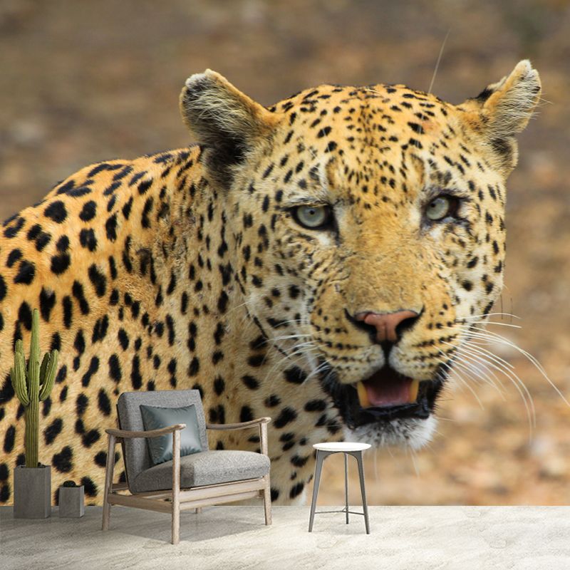 Leopard Mural Decal Modern Style Mildew Resistant Home Decor, Custom Size