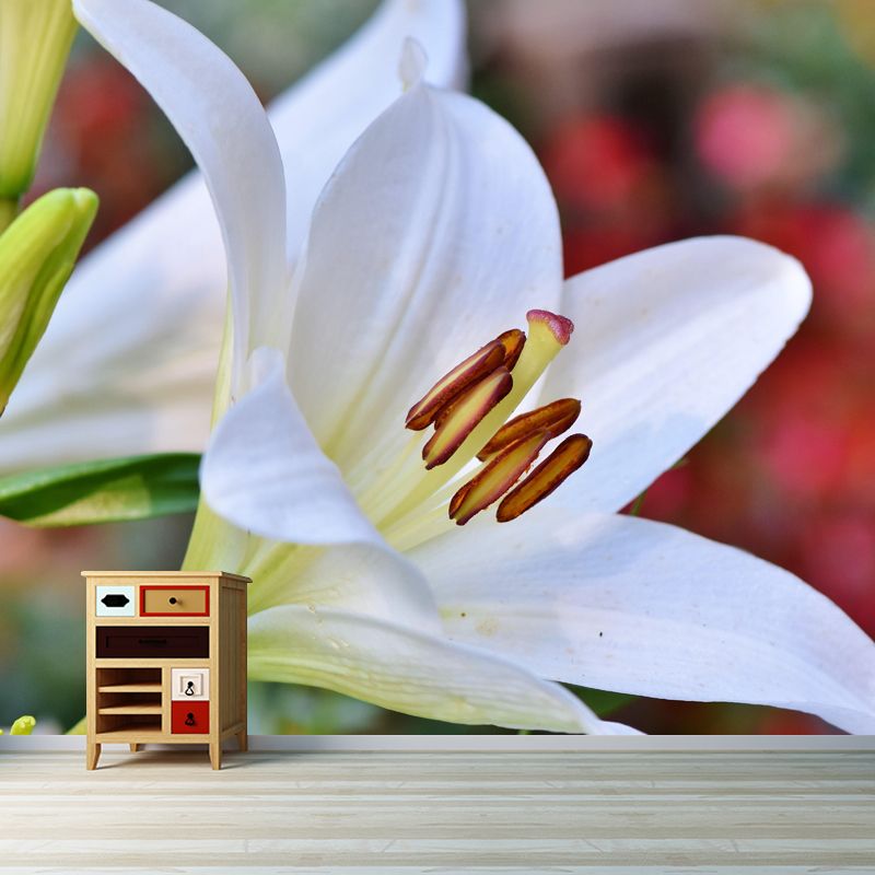 Horizontal  Photography Lily Wall Mural for Living Room Girls Women Bedroom