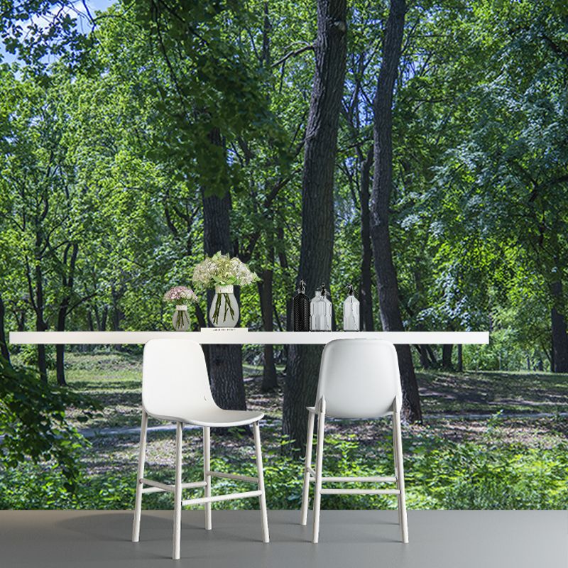 Customized Forest Mural Wall Covering Decorative Mildew Resistant for Reading Room