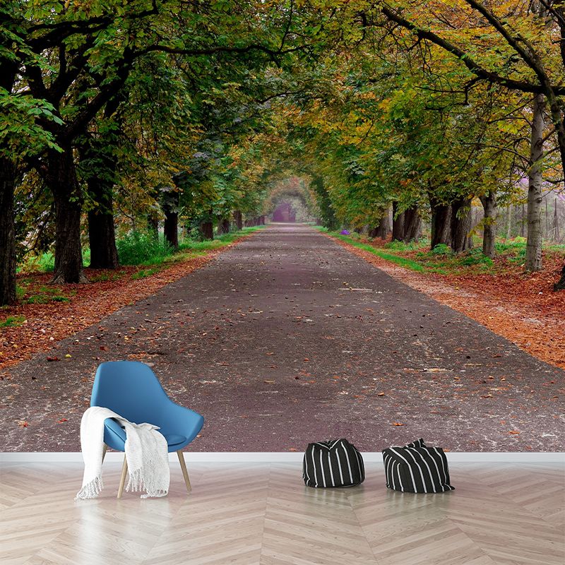 Space Extension Bedroom Mural Wallpaper Photography Mildew Resistant