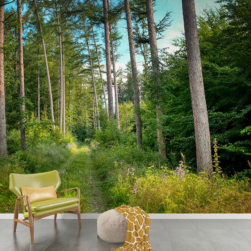 Green Forest Landscape Mural Wallpaper for Reading Room, Water Resistant