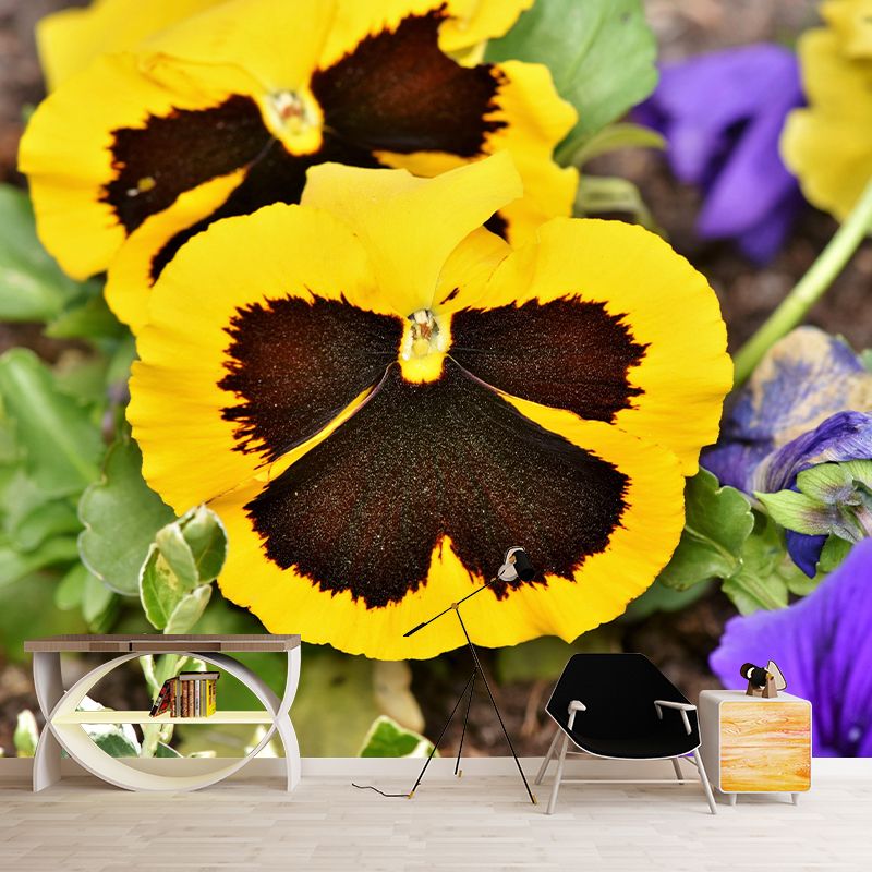 Customized Pansy Mural Wall Covering Decorative Mildew Resistant for Living Room