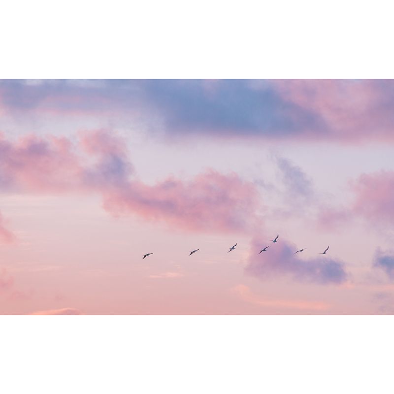 Simple Blue Sky Guest Room Home Decor Wall Mural Wallpaper, Moisture Resistant