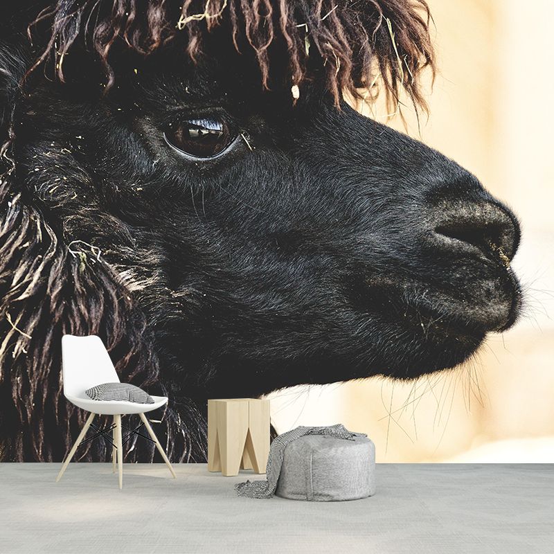 Customized Cute Alpaca Wall Mural Contemporary Photography for Living Room