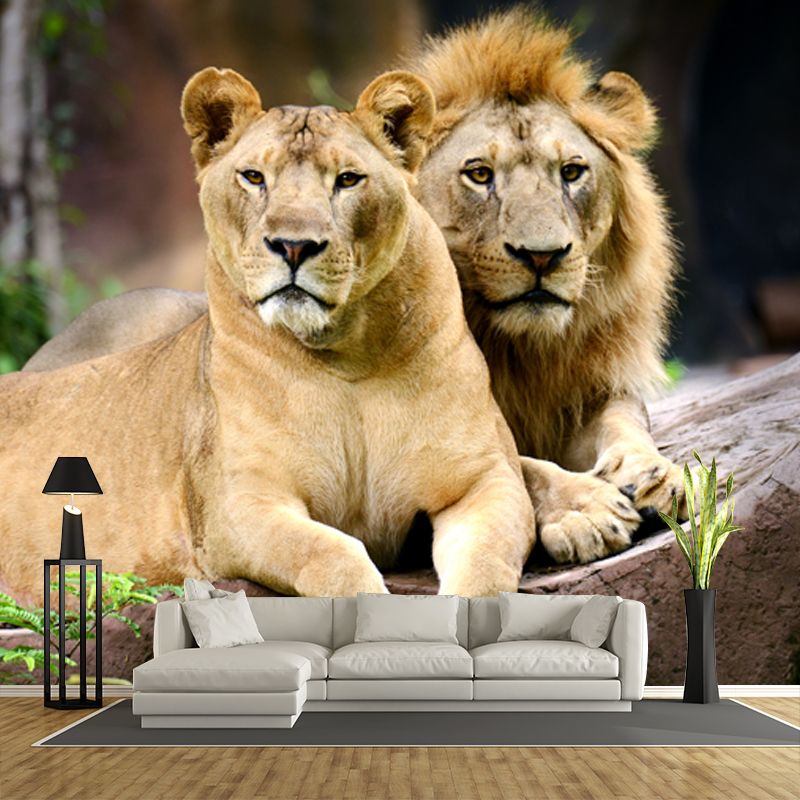 Lions Lying on Stone Mural Brown Contemporary Wall Covering for Living Room, Custom Print