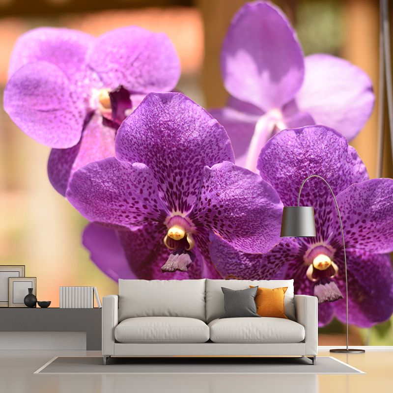 Cymbidium Photo Mural Decal Modern Wall Decor for Sleeping Room, Waterproofing