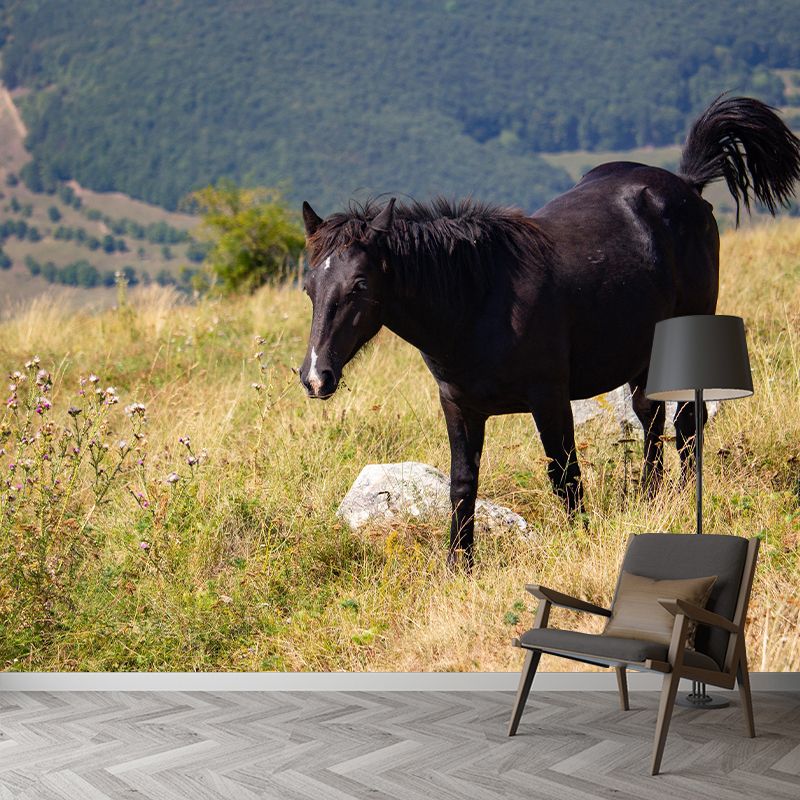 Customized Horse Wall Mural Wallpaper Horizontal Photography for Sitting Room