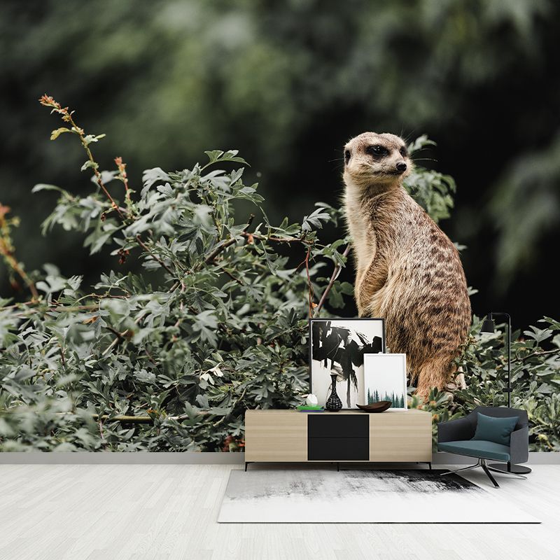 Customized Meerkat Wall Mural Horizontal Photography for Sleeping Room Decoration