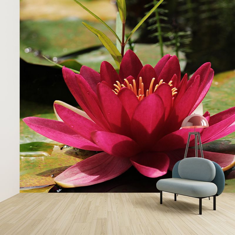Customized Contemporary Lotus Mural Mildew Resistant for Sitting Room Bedroom