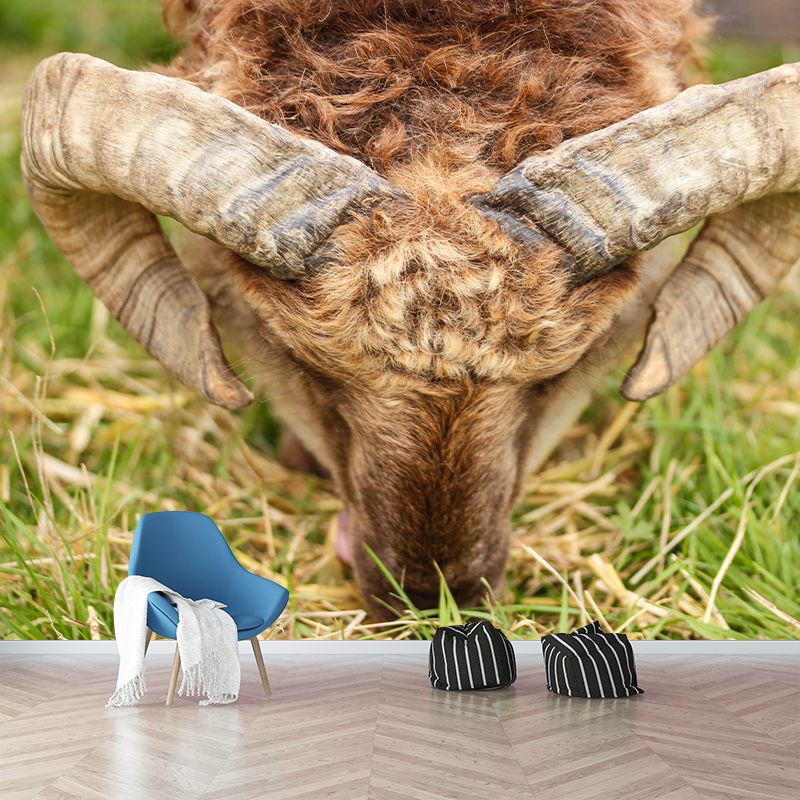 Photography Animal Sheep Mural Wallpaper Environment Friendly for Living Room