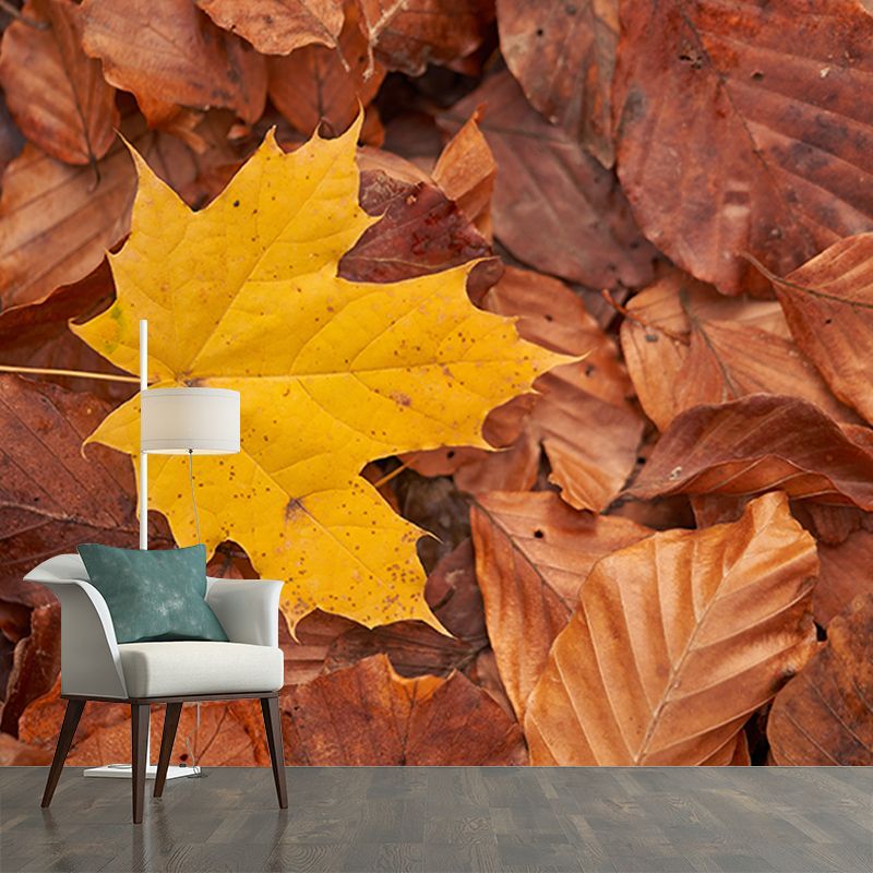 Washable Photography Mural Wallpaper Plants Landscape Indoor Wall Mural