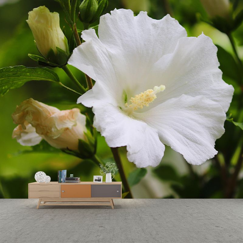 Photography Style Hibiscu Blossing Mural Wallpaper Modern Wall Covering for Living Room