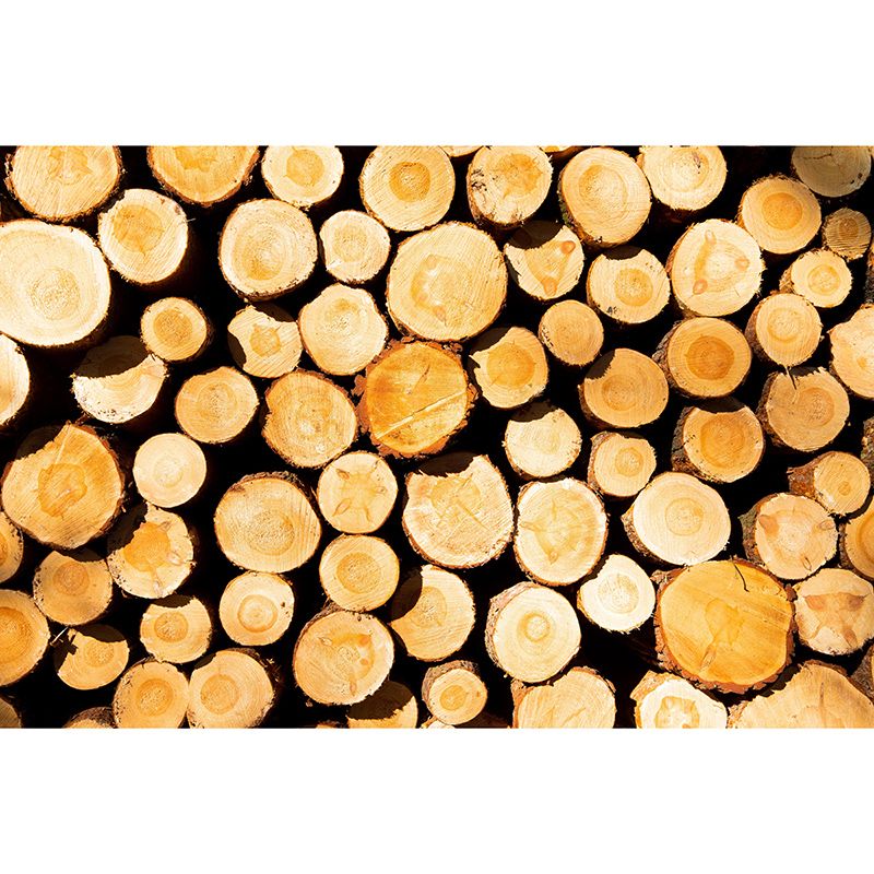 Light Color Wood Texture Mural Industrial Decorative Eco-friendly Wall Art