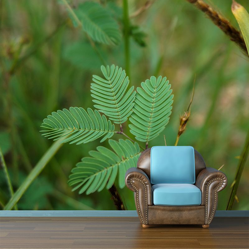 Contemporary Mimosa Home Mural Mildew Resistant Wall Decor for Bedroom