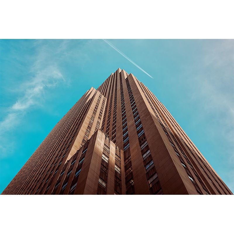 Mildew Resistant Contemporary Construction Mural Decorative for Decoration