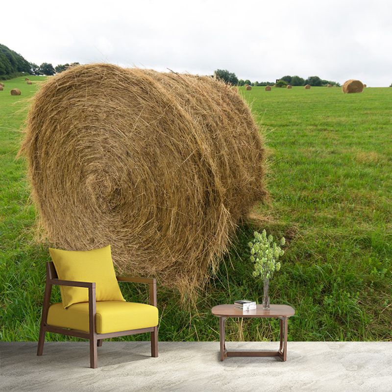 Vast Cornfield Wall Mural Contemporary Decorative Kitchen Wall Art, Custom Size Available