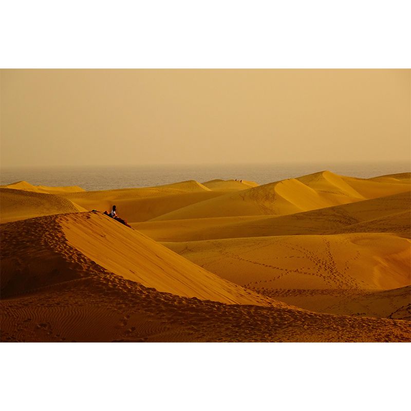 Customized Desert Mural Decorative Mildew Resistant for Dining Room Bedroom