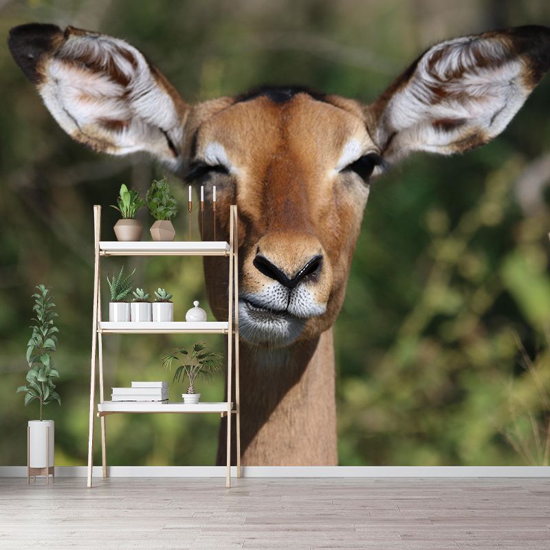 Leopard Contemporary Wild Animal Mural Mildew Resistant Wallpaper for Home Decor