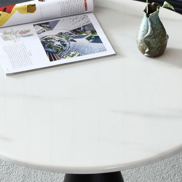 Metal Traditional Luxury Round Table Marble Top Indoor Table with Pedestal
