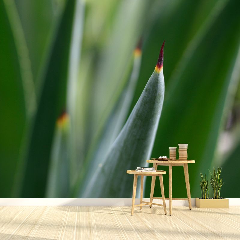 Green Aloe Vera Plant Wall Covering for Home Decoration, Moisture Resistant