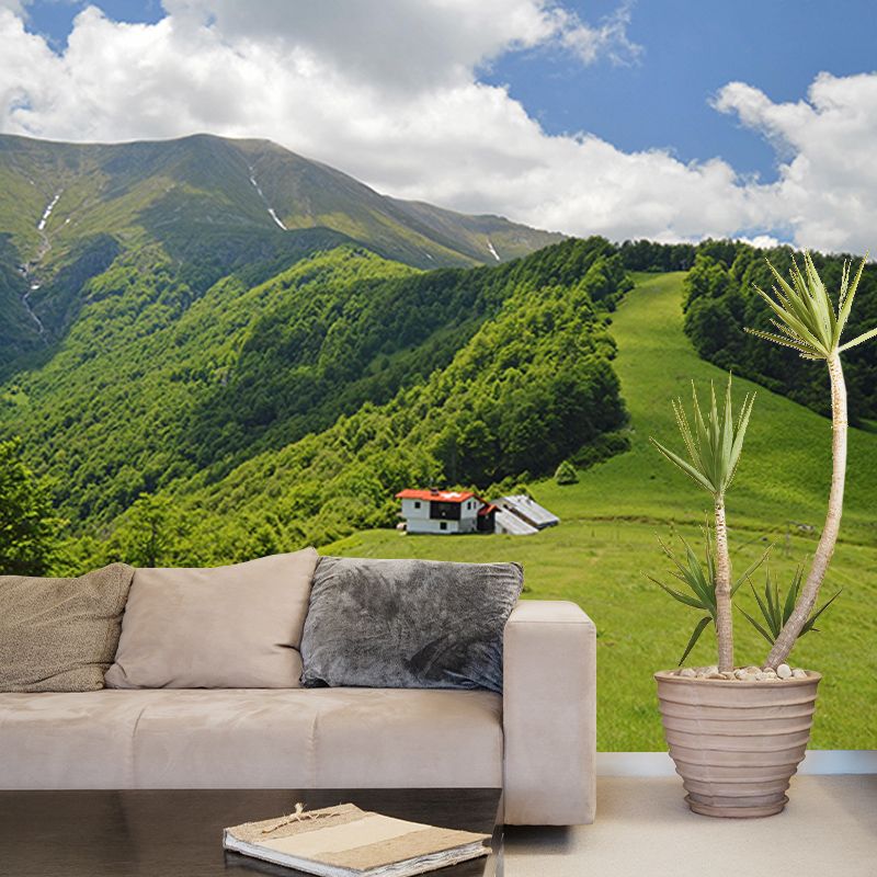 Mountain Landscapes Mural Wallpaper Mildew Resistant Living Room Wall Decor