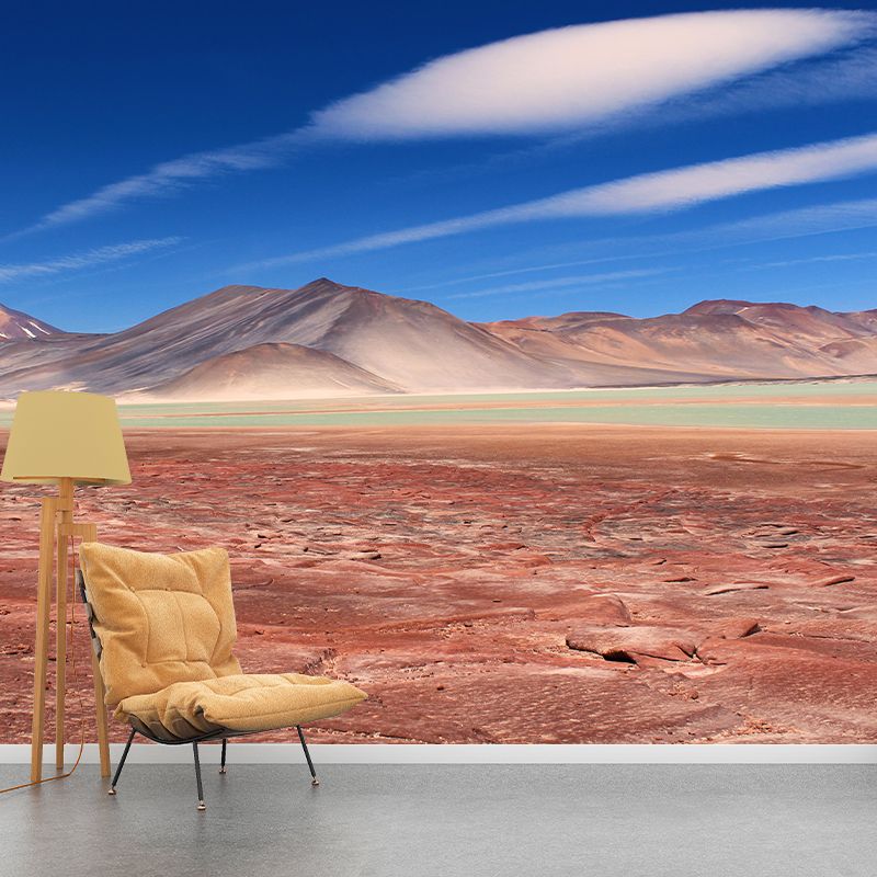 Contemporary Photography Style Desert Mural Wallpaper Mildew Resistant for Home