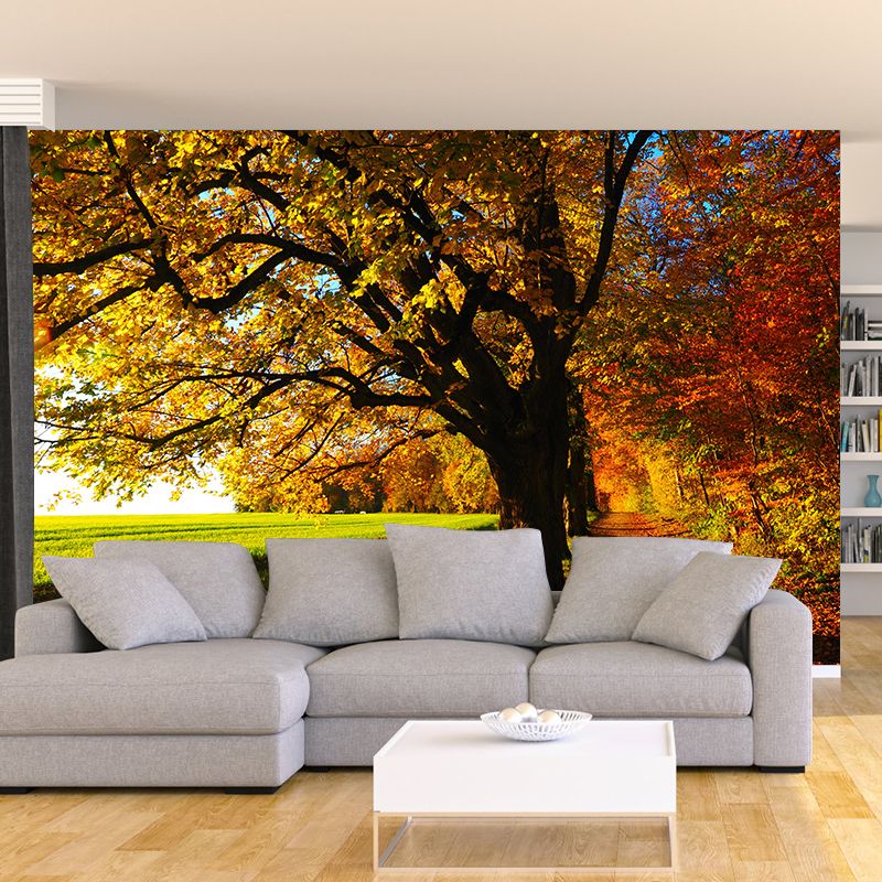 Eco-friendly Photography Forest Wall Mural Drawing Room Mural Wallpaper