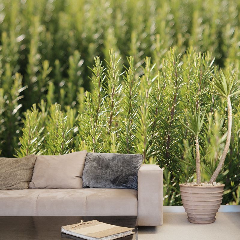 Rosemary Painting Mural Decal Modern Mildew Resistant Wall Covering for Decoration