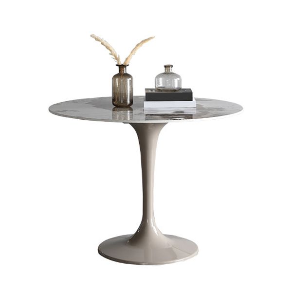 Modern Sintered Stone Dining Table Set Round 1/2/4/5 Pieces Dining Set